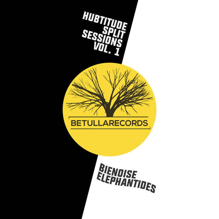 Hubtitude-split-session